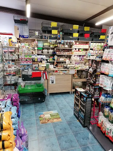 Zoolux Kamila Grodzka